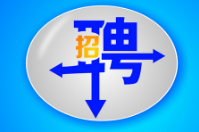 年輕的意義就是在于不斷拼搏，智絡軟件招兵買馬篇