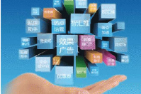  會員軟件功能定制與購買