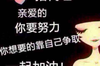 智絡會員管理系統如何代理？