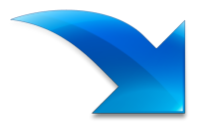 導入