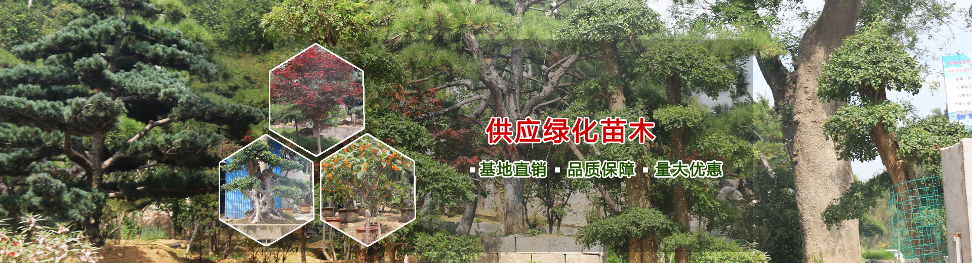 ID卡感應器