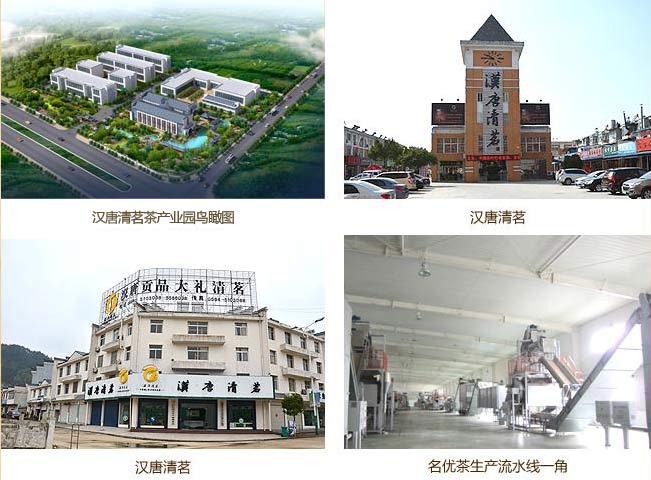 安徽霍山漢唐清茗茶葉有限公司成功簽約智絡(luò)連鎖會(huì)員管理系統(tǒng)