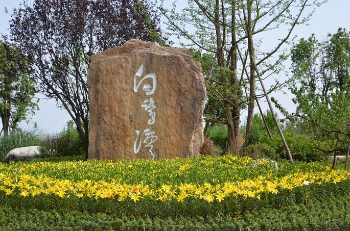 成都智絡(luò)軟件7月戶外拓展活動(dòng)