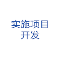 實施項目開發